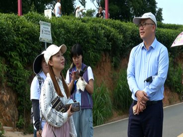 千里茶田迎远客 光影同心话交融 澳门影视代表团在名山区采风