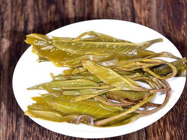 普洱茶生茶好还是熟茶好