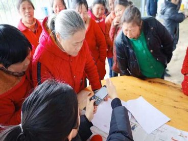 洪雅春茶采摘圆满收官 多元好茶留住春日本味