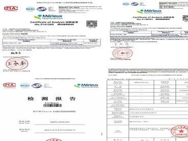 双国标认证!勐海2026春茶交出满分品质答卷