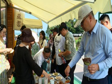 千里茶田迎远客 光影同心话交融 澳门影视代表团在名山区采风