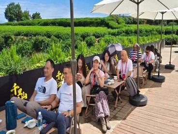 海内外侨商赴名山考察 共谋蒙顶山茶产业发展新机遇