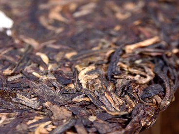 年份老茶生茶与新生茶的特点有哪些?